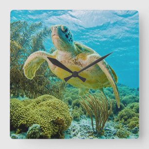 Relógio Quadrado Uma Tartaruga Verde Sobre Os Recifes Devagar De Bo