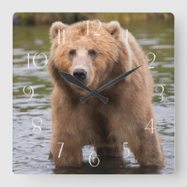 Relógio Quadrado Urso castanho-branco-gordo