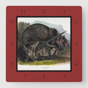 Relógio Quadrado Urso Grizzly (Urso Marrom Norte-Americano) - Audub