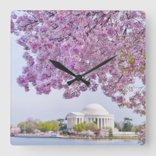Relógio Quadrado USA, Washington DC, Cherry tree in bloom