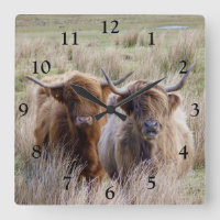 Vacas Terrestres Escocesas
