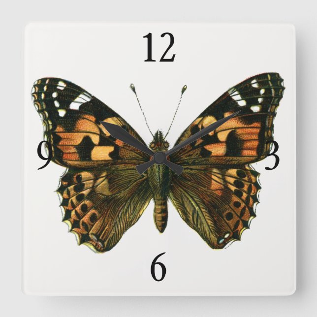 Relógio Quadrado Vanessa cardui - A Borboleta Dama Pintada (Frente)