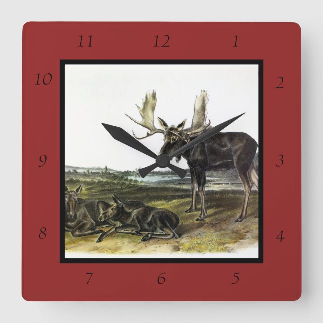 Relógio Quadrado veado-alce (alces-alces-alces) de Audubon (Frente)