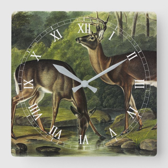 Relógio Quadrado Veado comum (branco) - Quadrupedes de Audubon (Frente)