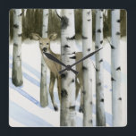 Relógio Quadrado Veado em neve<br><div class="desc">Veado em Snowfall II por Grace Popp. Um veado se esconde entre as árvores em uma cena de vitória pacífica.</div>