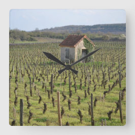 Relógio Quadrado Vineyard na França de Burgundy
