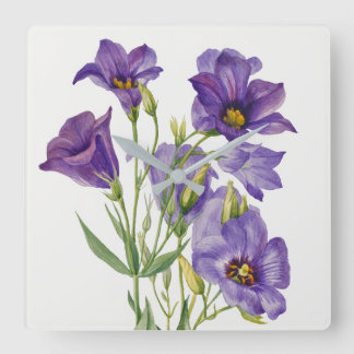 Relógio Quadrado Vintage Mary Vaux Walcott Flores Botânicos