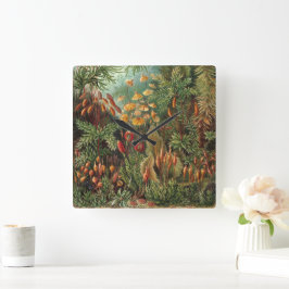 Relógio Quadrado Vintage Muscinae, Moss Vegetais de Ernst Haeckel