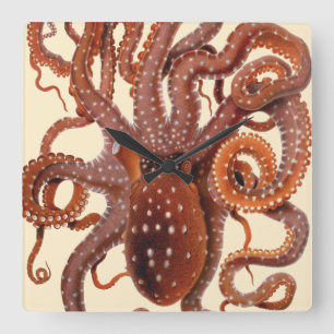 Relógio Quadrado Vintage Octopus Macropus, Animais Aquáticos Marin