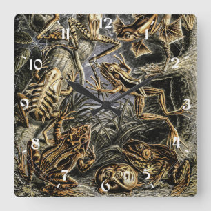 Relógio Quadrado Vintage Toads e Sapos de Ernst Haeckel