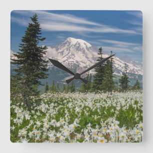 Relógio Quadrado Washington, Parque Nacional Mount Rainier 1