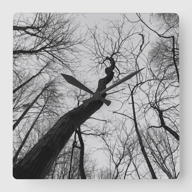 Relógio Quadrado Wavy_Tree_Clock (Frente)