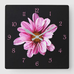 Relógio Quadrado Wcn de Números de Script Rosa de Flor Chrysanthem