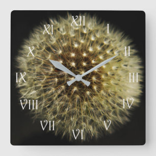 Relógio Quadrado Wcn Romano de Script Branco de Seedhead Dandelion