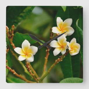 Relógio Quadrado Yellow Frangipani