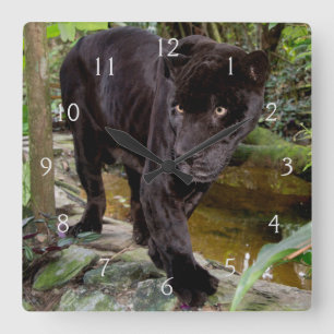 Relógio Quadrado Zoológico da Cidade de Belize. Pantera negra