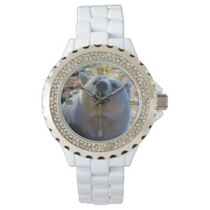 Relógio Rare Kermode Bear (Spirit Bear)