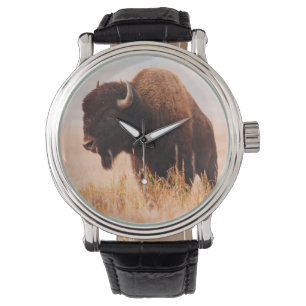 Relógio Rebanho de Bisontes Americanos (Bison Bison) em Te