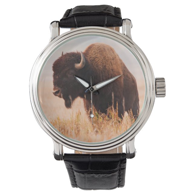 Relógio Rebanho de Bisontes Americanos (Bison Bison) em Te (Frente)