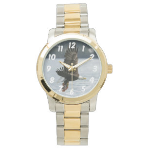 Relógio Recuperação de Peixes de Águia-Cálida