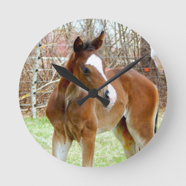 RELÓGIO REDONDO 2BOM CAVALO DE FOLHA DE BEBÊ PONY (Frente)