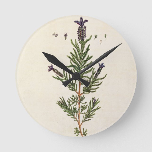 Relógio Redondo A lavanda francesa, chapeia 241 'de um Herbal (Frente)