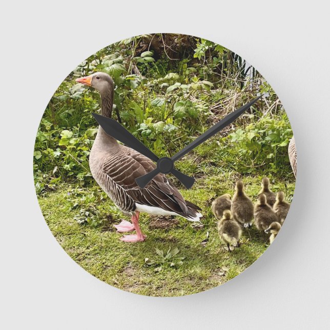 Relógio Redondo A vida do Pato. (Frente)