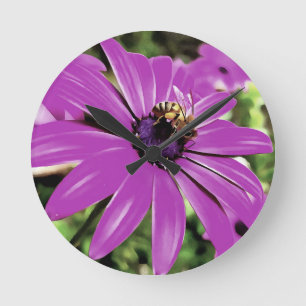 Relógio Redondo Abelhas De Mel Numa Arte Daisy Africana Roxa