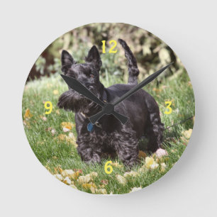 Relógio Redondo Ach Watch