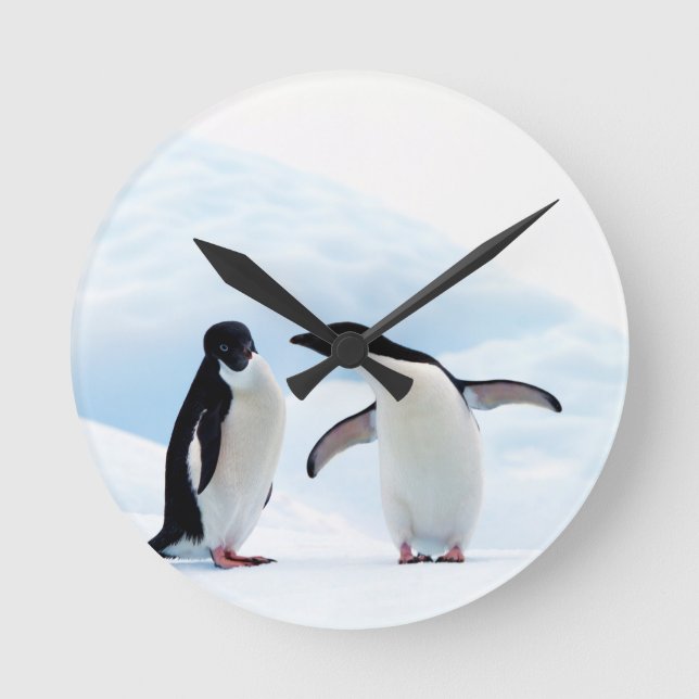 Relógio Redondo Adelie Penguins (Frente)