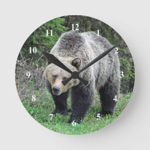 Relógio Redondo Alaska Grizzly Bear Wildlife Photo