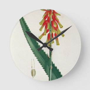 Relógio Redondo Aloés de "Phytographie Medicale" por Joseph Roque