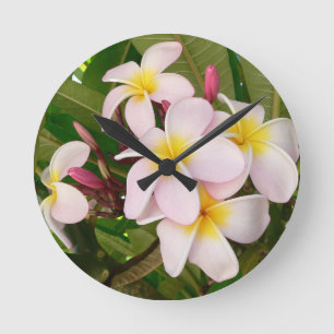 Relógio Redondo Aloha Hawaiian Frangipani Blossoms Plumerias