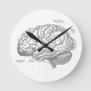 Relógio Redondo Anatomia cerebral Vintage