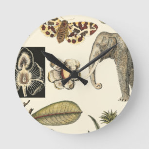 Relógio Redondo Animais Partilhados Pintados em Fundo de Creme