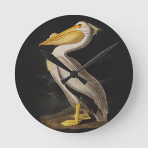 Relógio Redondo Antigo Pelicano Branco de John James Audubon Coste