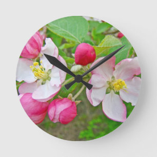 Relógio Redondo Apple Blossom Time