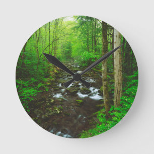 Relógio Redondo As montanhas do Enfumaçado do Excelente