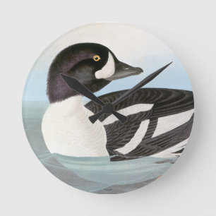 Relógio Redondo Audubon: O Goldeneye do carrinho de mão