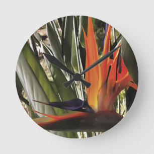 Relógio Redondo Ave do Paraíso Strelitzia Reginae - Painti acrílic