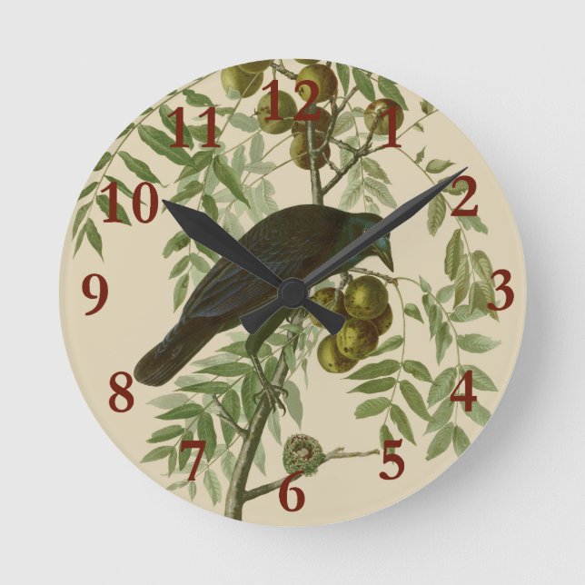 Relógio Redondo Ave Negra Americana da Audubon (Frente)