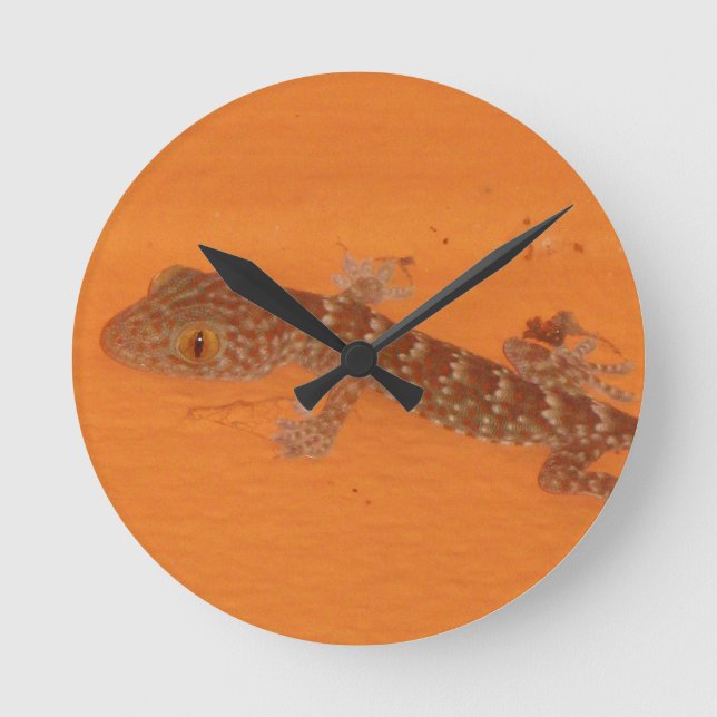 Relógio Redondo Baby Tokay Gecko (Frente)
