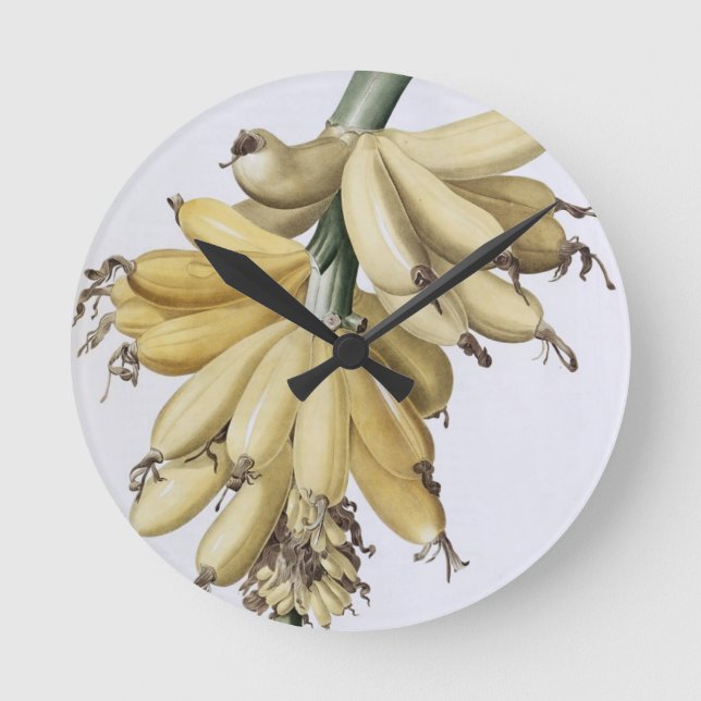 Relógio Redondo Banana, 1816 (Frente)