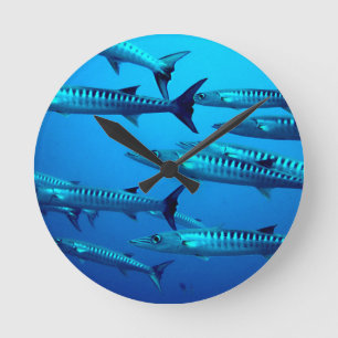 Relógio Redondo barracuda mergulho mar profundo água oceano tropic