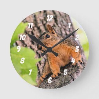 Relógio Redondo Bashful