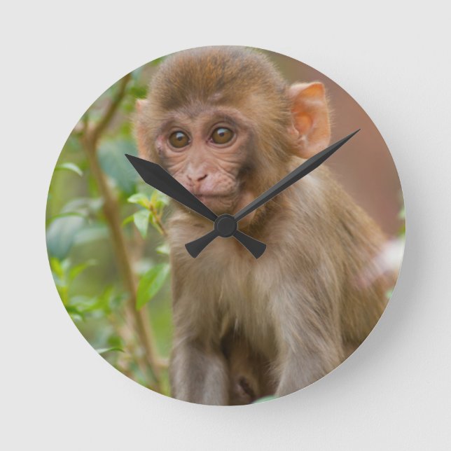 Relógio Redondo Bebê do reso, templo do macaco, Jaipur (Frente)