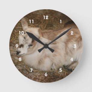 Relógio Redondo Bebê doeling da cabra pequena peludo