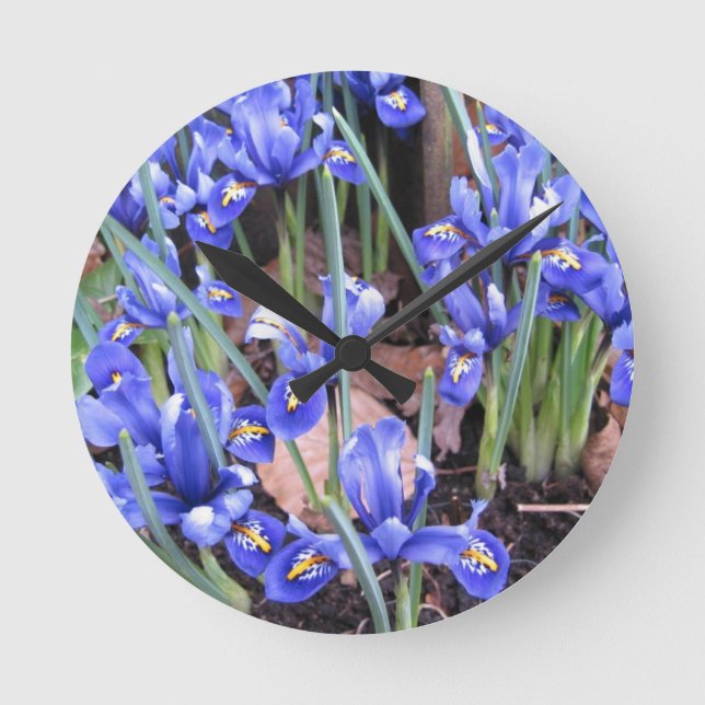 RELÓGIO REDONDO BELO IRIS (Frente)