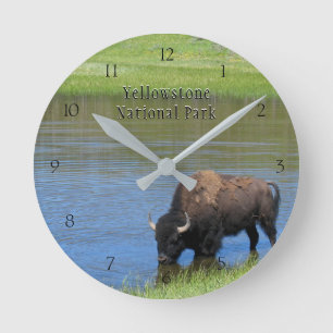 Relógio Redondo Bisonte do parque nacional de Yellowstone na lagoa
