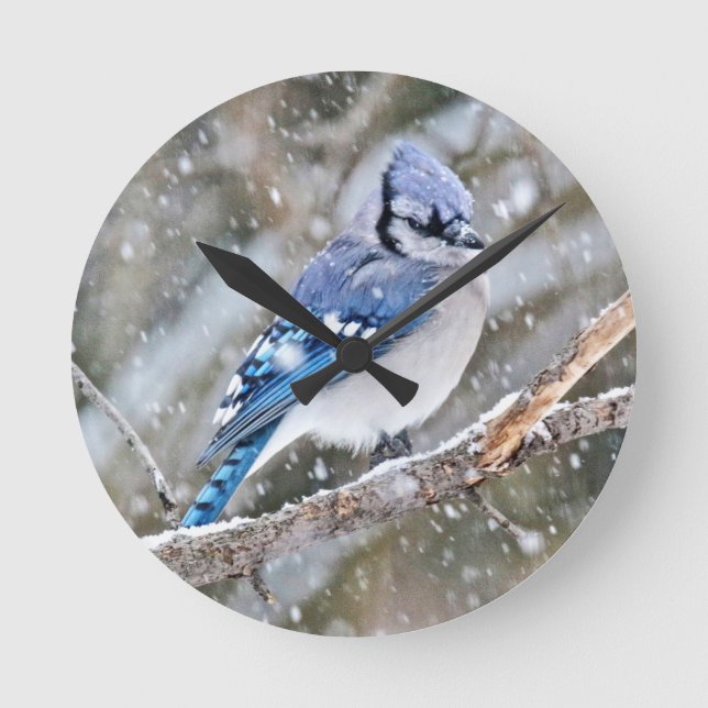 Relógio Redondo Blue Jay em uma tempestade de neve (Frente)